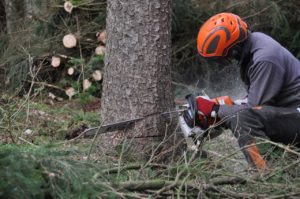 Chainsaw